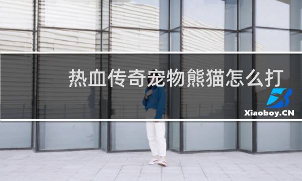 热血传奇宠物熊猫怎么打