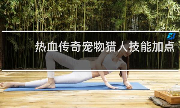热血传奇宠物猎人技能加点