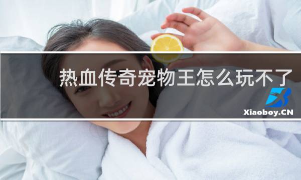 热血传奇宠物王怎么玩不了