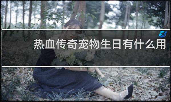 热血传奇宠物生日有什么用