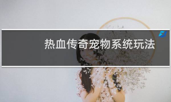 热血传奇宠物系统玩法
