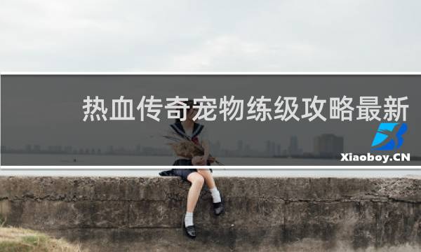 热血传奇宠物练级攻略最新