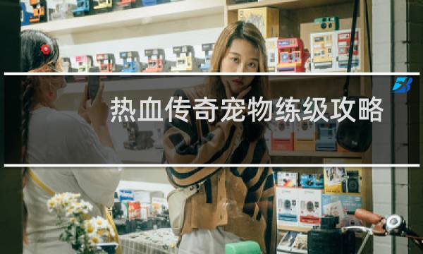 热血传奇宠物练级攻略