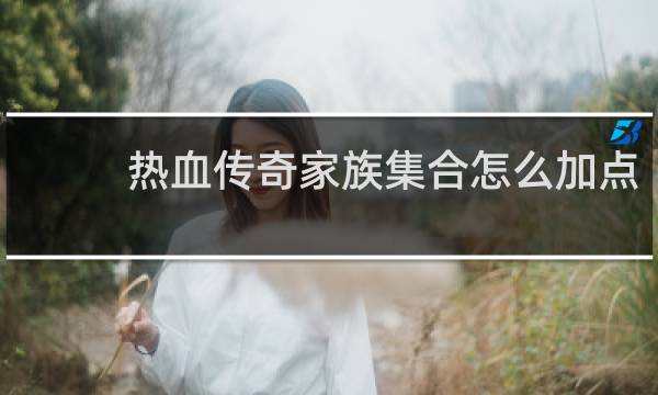热血传奇家族集合怎么加点