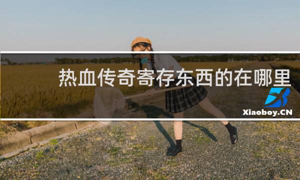 热血传奇寄存东西的在哪里