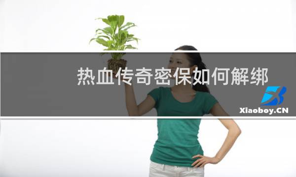 热血传奇密保如何解绑
