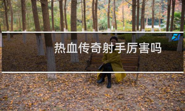 热血传奇射手厉害吗