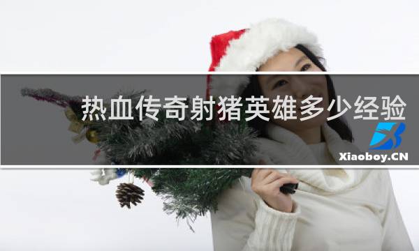 热血传奇射猪英雄多少经验