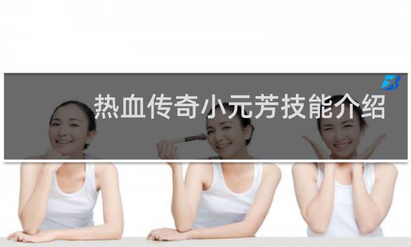热血传奇小元芳技能介绍