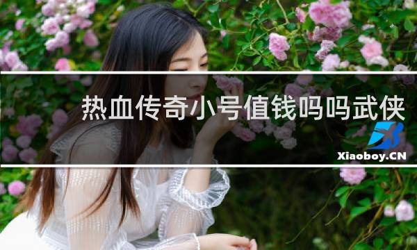 热血传奇小号值钱吗吗武侠