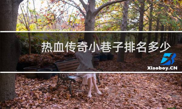 热血传奇小巷子排名多少