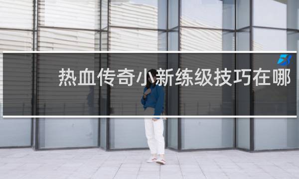 热血传奇小新练级技巧在哪
