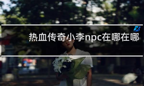 热血传奇小李npc在哪在哪