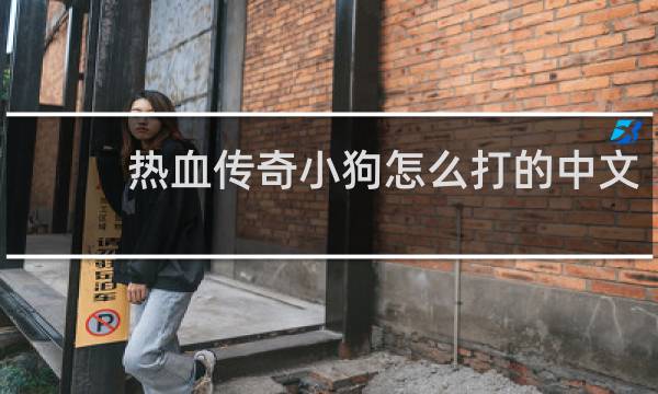 热血传奇小狗怎么打的中文