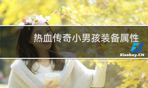 热血传奇小男孩装备属性