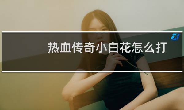 热血传奇小白花怎么打