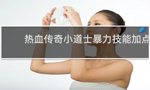 热血传奇小道士暴力技能加点