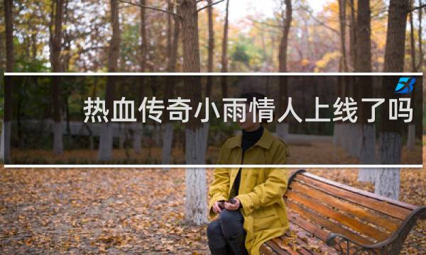 热血传奇小雨情人上线了吗