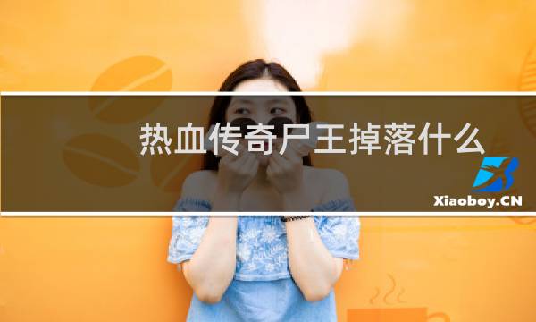 热血传奇尸王掉落什么