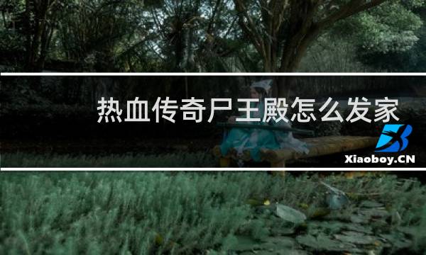 热血传奇尸王殿怎么发家