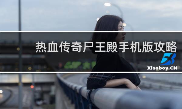热血传奇尸王殿手机版攻略
