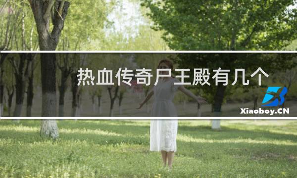 热血传奇尸王殿有几个