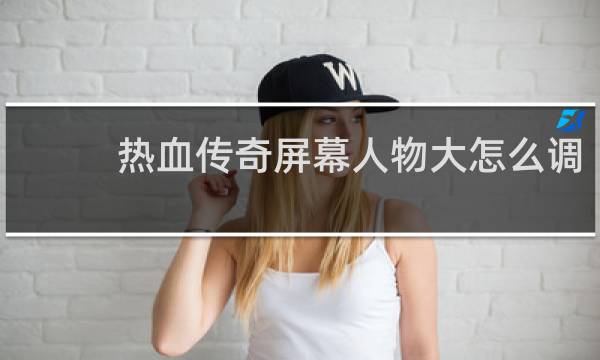 热血传奇屏幕人物大怎么调