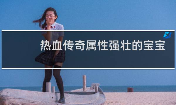 热血传奇属性强壮的宝宝