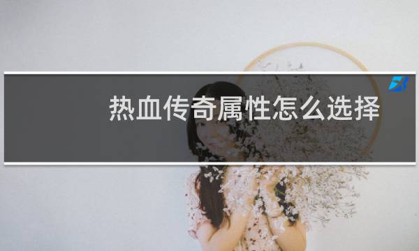 热血传奇属性怎么选择