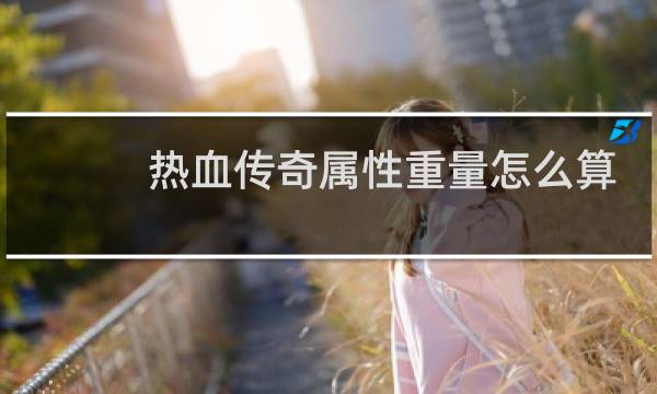 热血传奇属性重量怎么算