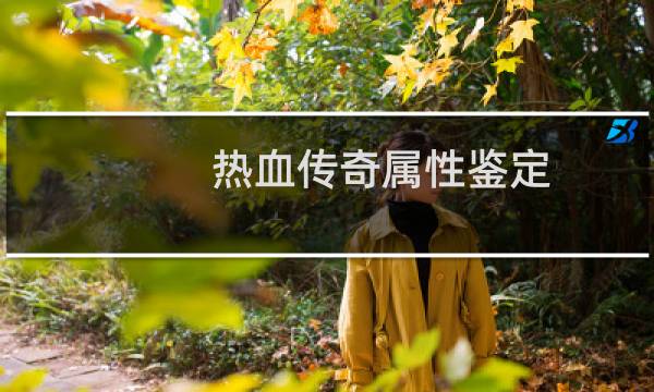 热血传奇属性鉴定 暴击