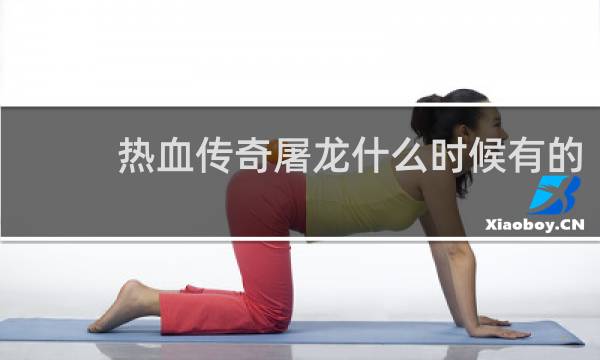 热血传奇屠龙什么时候有的