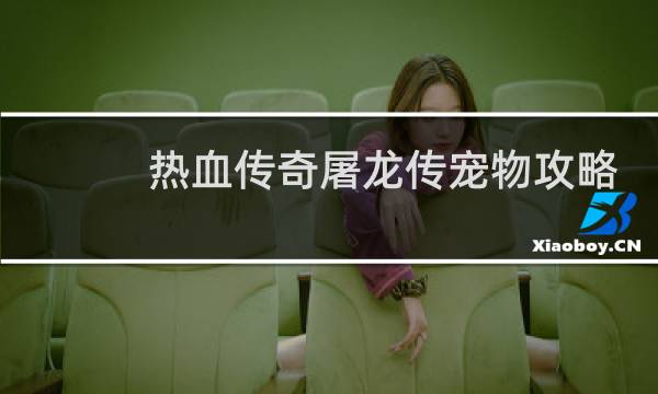 热血传奇屠龙传宠物攻略
