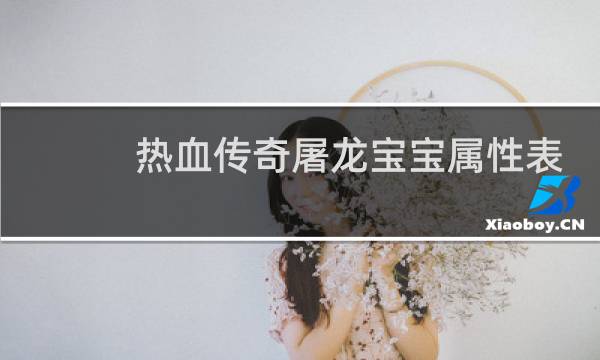 热血传奇屠龙宝宝属性表