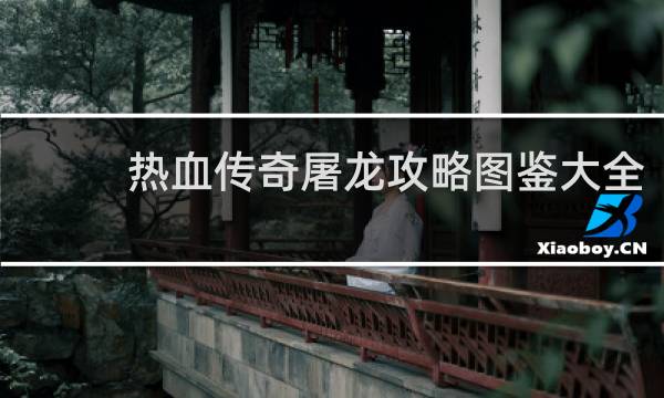 热血传奇屠龙攻略图鉴大全