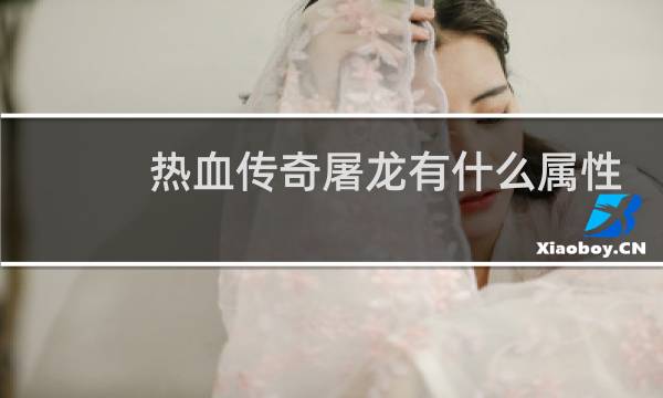 热血传奇屠龙有什么属性