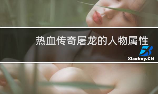 热血传奇屠龙的人物属性