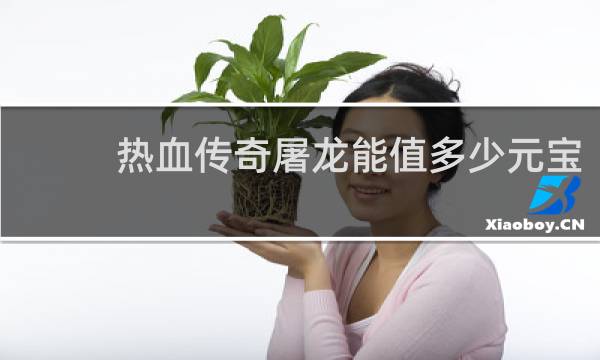 热血传奇屠龙能值多少元宝