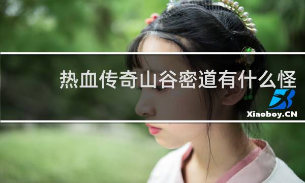 热血传奇山谷密道有什么怪