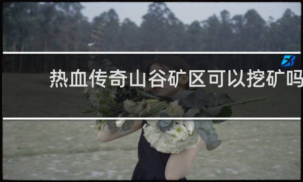 热血传奇山谷矿区可以挖矿吗