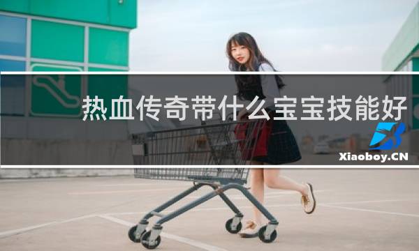 热血传奇带什么宝宝技能好