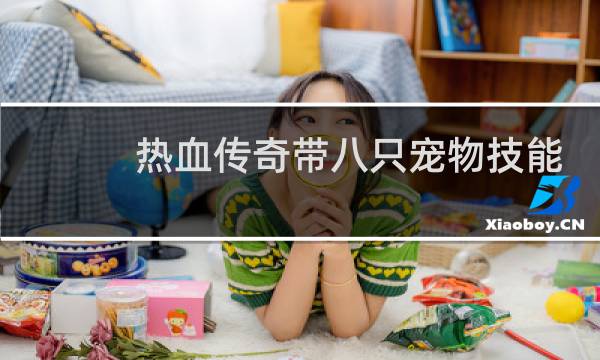 热血传奇带八只宠物技能