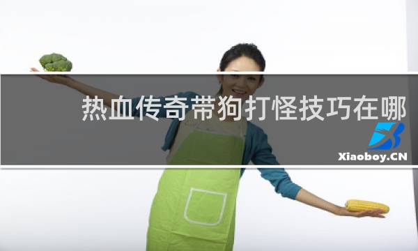 热血传奇带狗打怪技巧在哪
