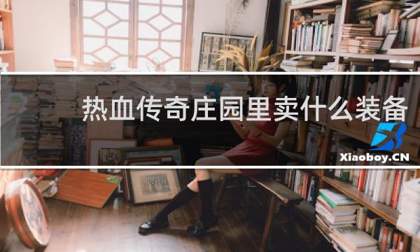 热血传奇庄园里卖什么装备