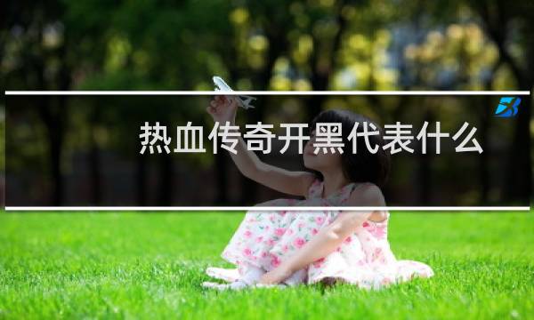 热血传奇开黑代表什么