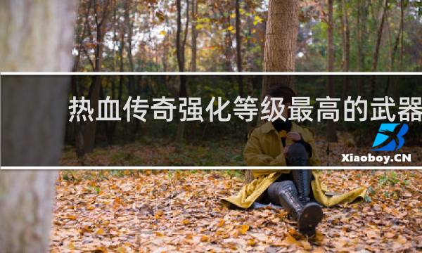 热血传奇强化等级最高的武器