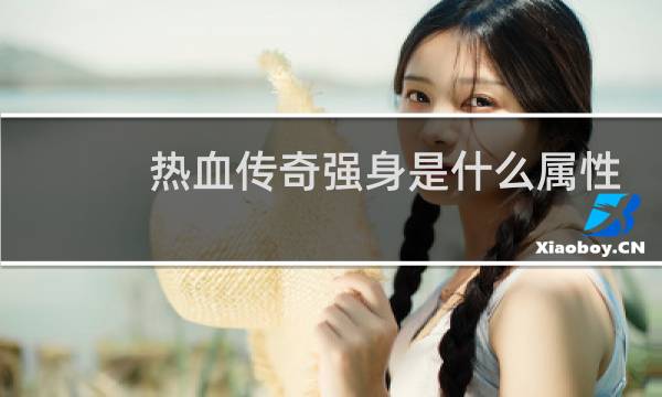 热血传奇强身是什么属性