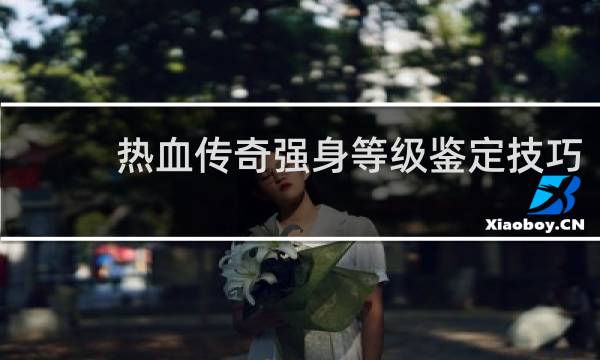 热血传奇强身等级鉴定技巧