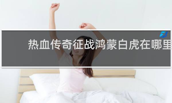 热血传奇征战鸿蒙白虎在哪里