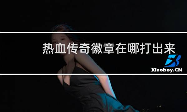 热血传奇徽章在哪打出来